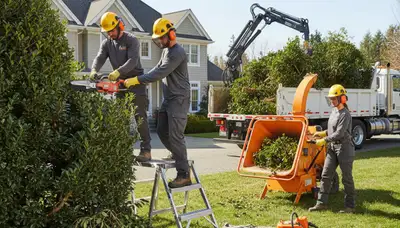 Charleston, SC shrub removal by Charleston Area Tree Service clearing overgrown shrubs safely