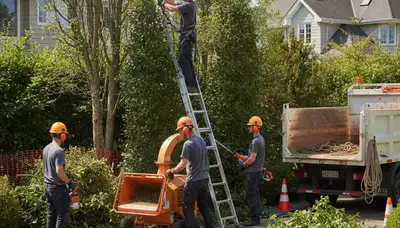 Charleston, SC tree crew removing overgrown shrubs for a yard cleanup service