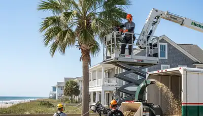 Tree service crew in Charleston, SC handling tree removal and trimming for local property care