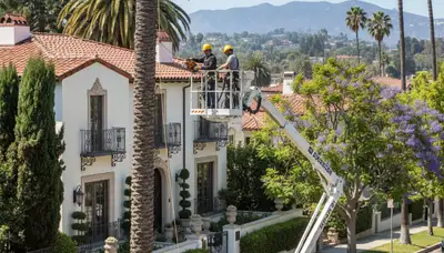 Tree service crew in Charleston, SC trimming and removing trees for a residential property