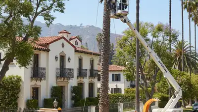 Tree service crew in Charleston, SC providing professional tree care for residential properties
