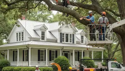 Tree service crew in Charleston, SC providing professional tree trimming and removal services